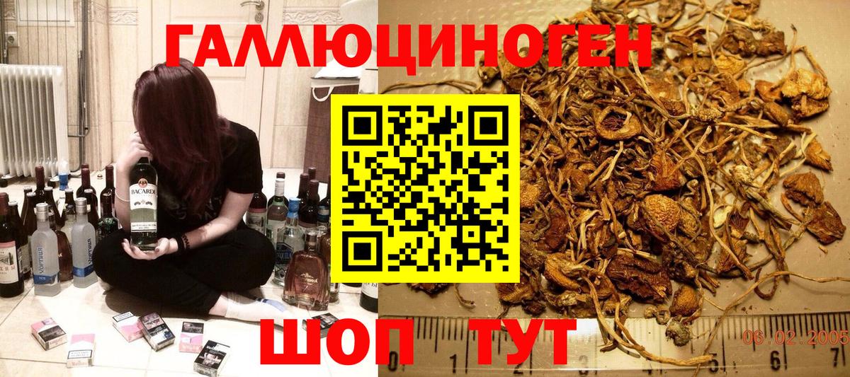 Галлюциногенные грибы Magic Shrooms  Псилоцибиновые грибы MAGIC MUSHROOMS  Вход с VPN  Белово 